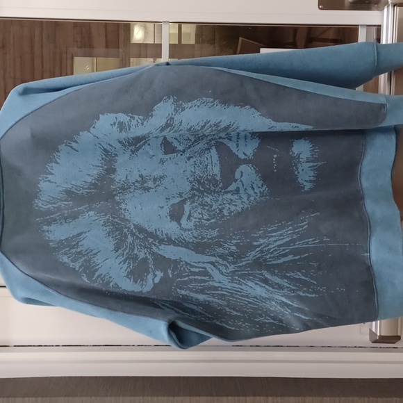 Organika Other - Organika Vintage Blue Skate Boarding Hoodie Lion on Back XL